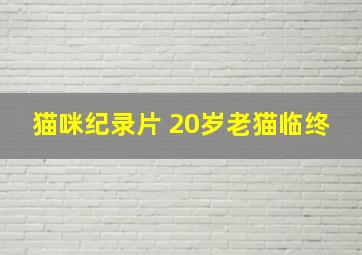 猫咪纪录片 20岁老猫临终